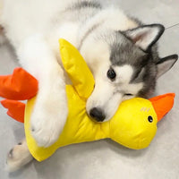 Quiet Duck Ally and Gentle Doggy Toy