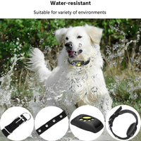 GPS Pet Collar with Real Time Tracking and Geo Fence Alerts