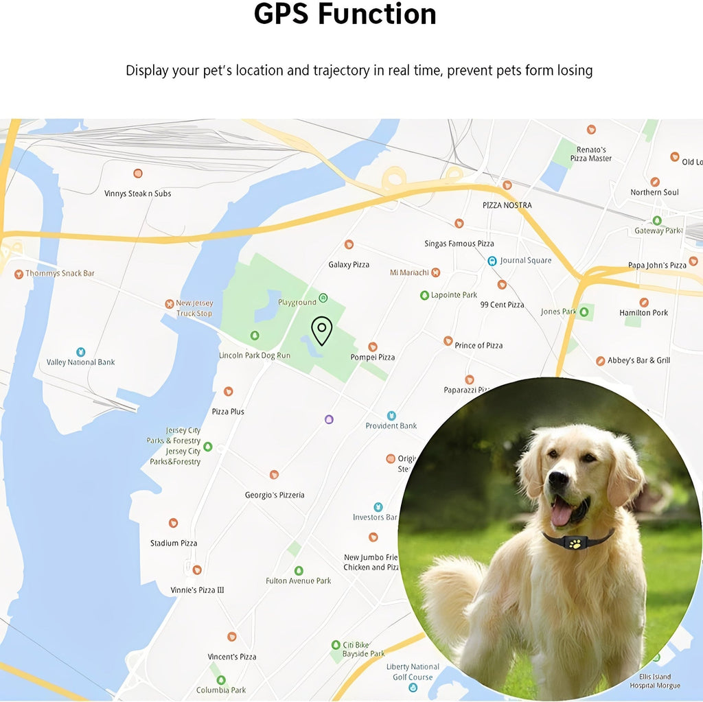 GPS Pet Collar with Real Time Tracking and Geo Fence Alerts