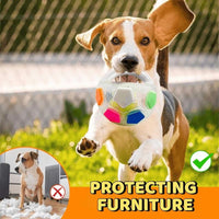 Heavy Duty Rubber Football Chew Toy with Ball in Bottle Design