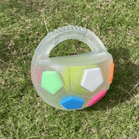 Heavy Duty Rubber Football Chew Toy with Ball in Bottle Design