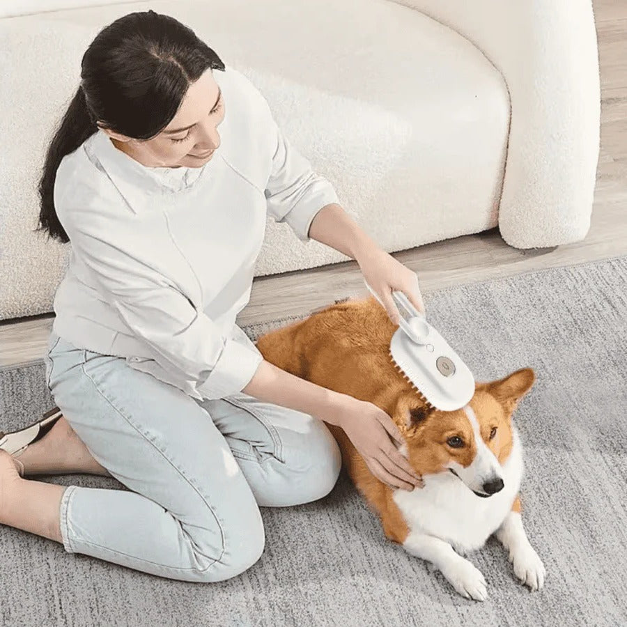 3-in-1 Pet Grooming Brush with Steam Spray and De-Shedding Comb