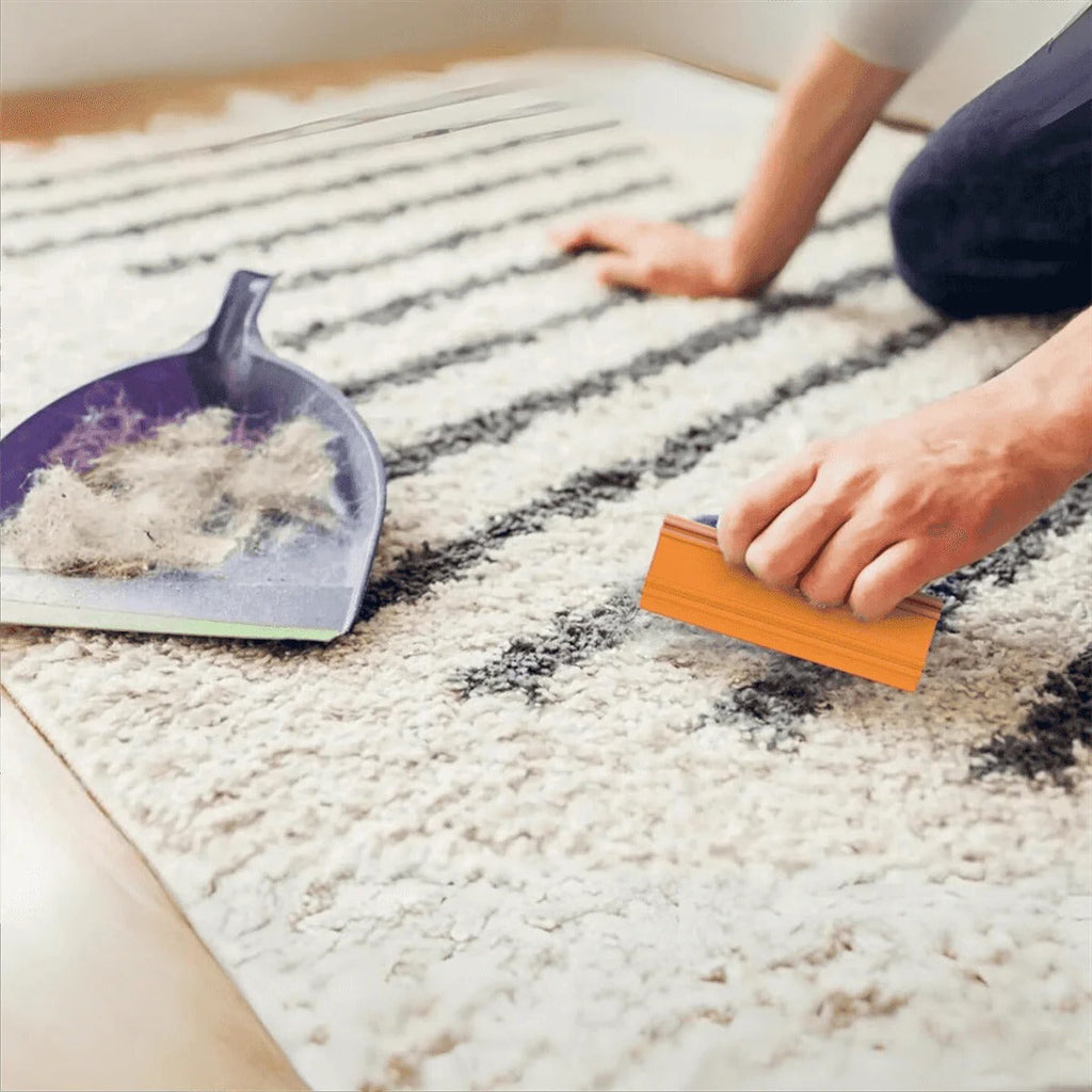 Reusable Pet Hair Remover Brush for Furniture and Vehicle Interiors