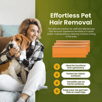 Reusable Pet Hair Remover Brush for Furniture and Vehicle Interiors