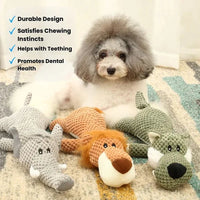 Rugged Plush Toy and Sturdy Fabric Plaything for Pets