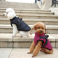 Waterproof Winter Dog Coat with Integrated Harness for Outdoor Use