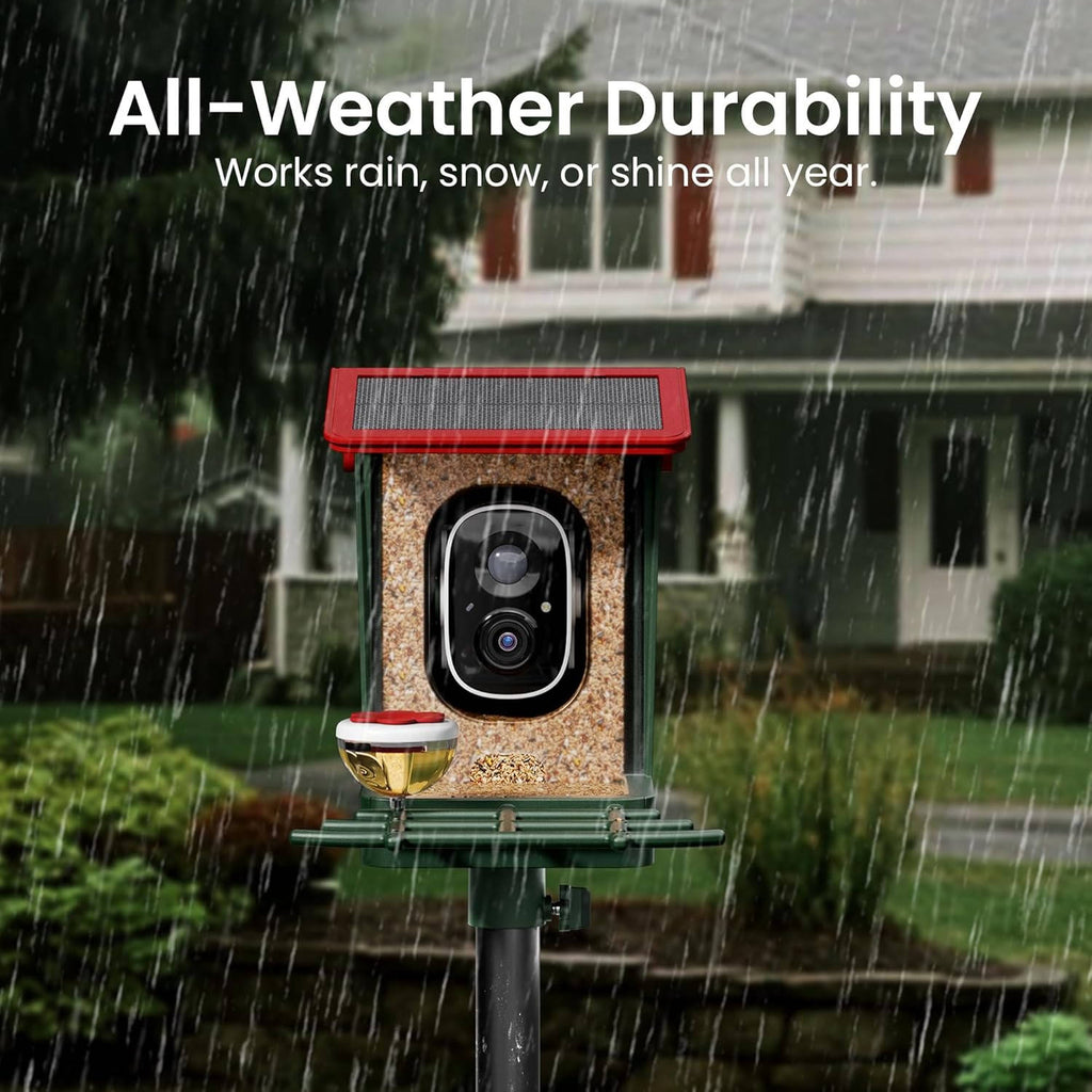 Smart Bird Feeder with Camera, Solar Powered 2K Video