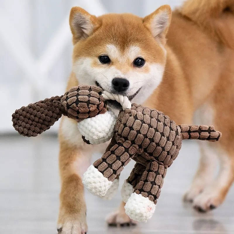 Plush Dog Toy with Reinforced Squeaker for Chewing and Fetch