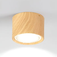 LED Ceiling Spotlight Cylinder, Adjustable Modern Indoor Light