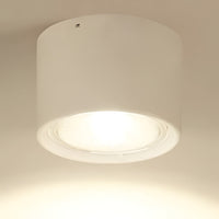LED Ceiling Spotlight Cylinder, Adjustable Modern Indoor Light