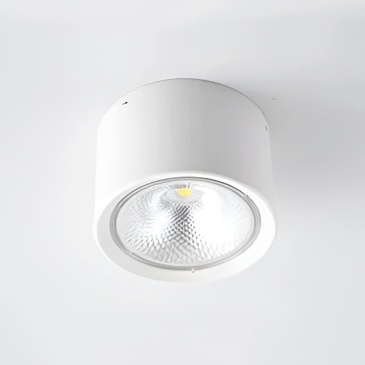 LED Ceiling Spotlight Cylinder, Adjustable Modern Indoor Light