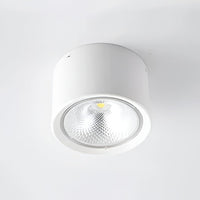 LED Ceiling Spotlight Cylinder, Adjustable Modern Indoor Light