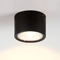 LED Ceiling Spotlight Cylinder, Adjustable Modern Indoor Light