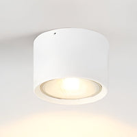 LED Ceiling Spotlight Cylinder, Adjustable Modern Indoor Light