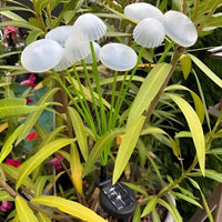 Solar RGB Jellyfish Garden Lights with Flexible Swaying Design