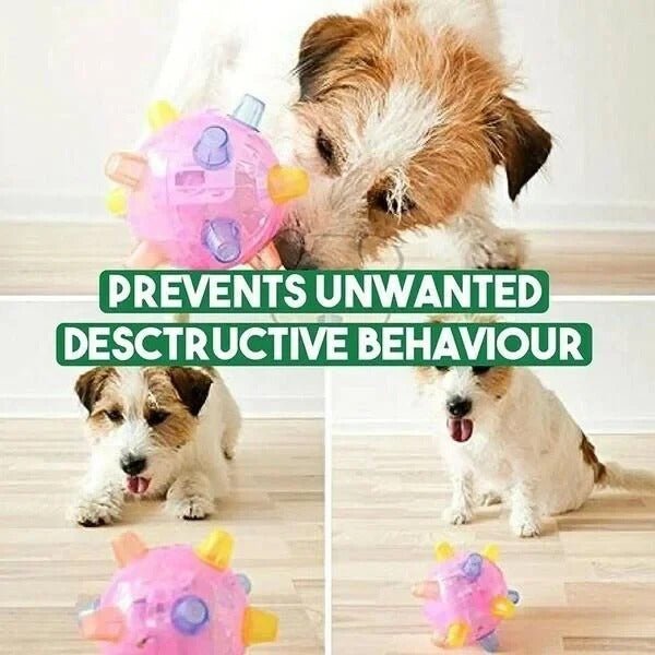 LED Jumping Ball for Dogs, Interactive Bouncing Light-Up Toy - Marova Shop