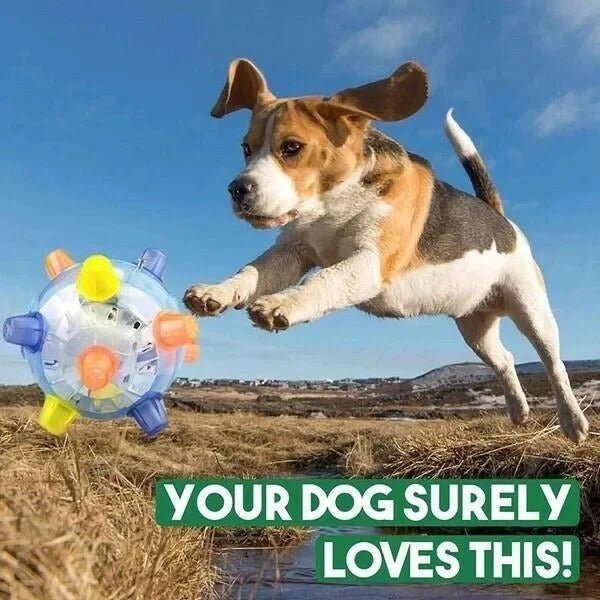 LED Jumping Ball for Dogs, Interactive Bouncing Light-Up Toy - Marova Shop