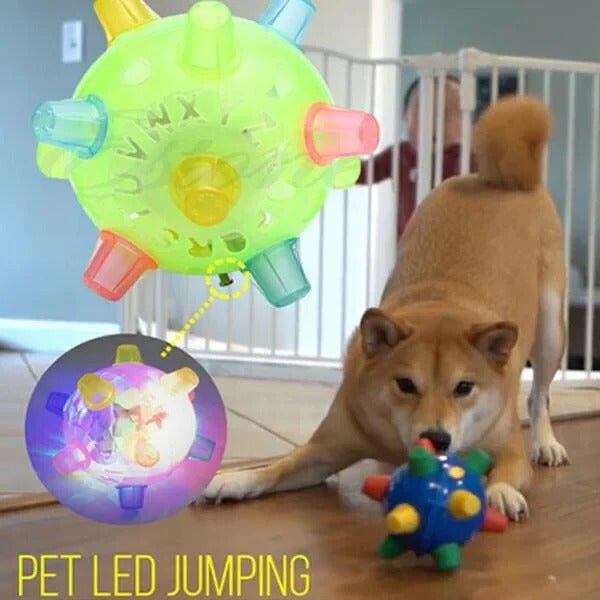 LED Jumping Ball for Dogs, Interactive Bouncing Light-Up Toy - Marova Shop