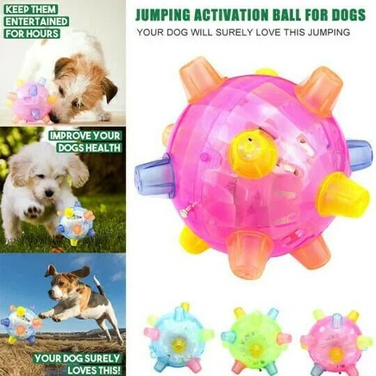 LED Jumping Ball for Dogs, Interactive Bouncing Light-Up Toy - Marova Shop