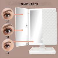 Makeup Mirror with Triple Panel LED Lighting and 2x 3x Magnification