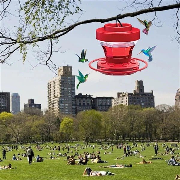Outdoor Hummingbird Feeder with Perch and Hanger - Marova Shop