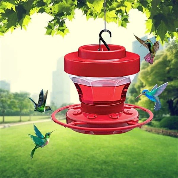Outdoor Hummingbird Feeder with Perch and Hanger - Marova Shop