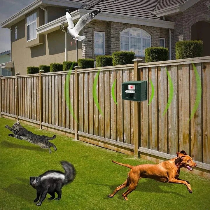 Outdoor Ultrasonic Pest Deterrent For Woodpeckers And Birds - Marova Shop