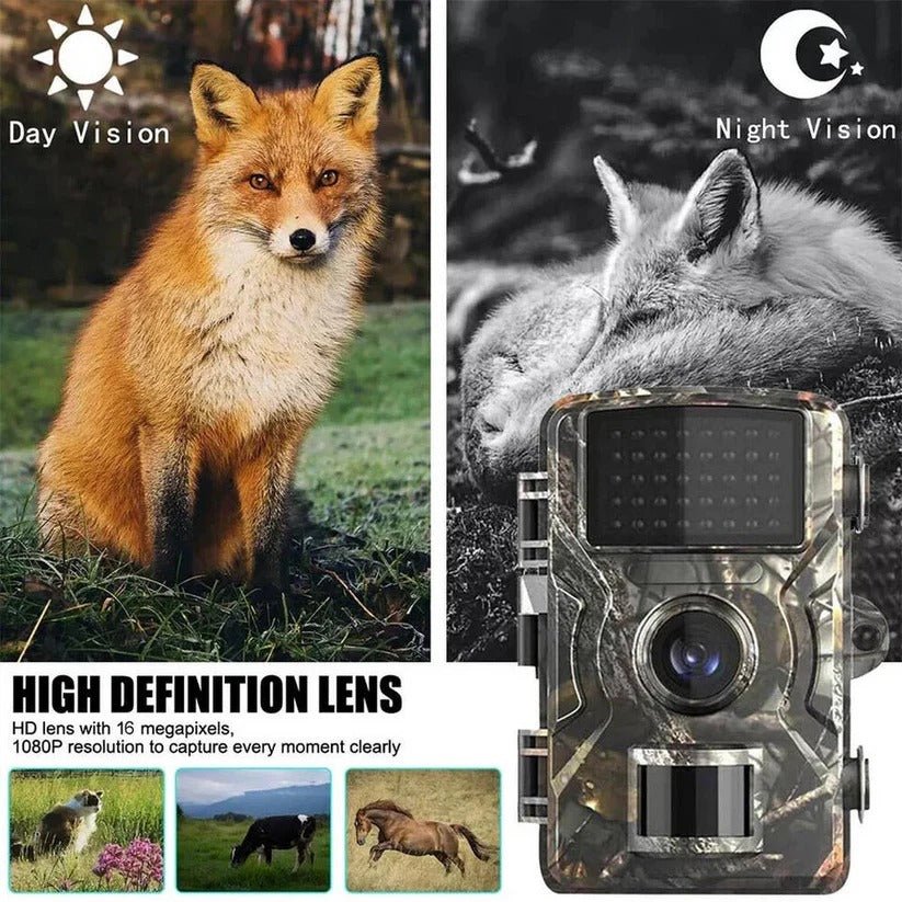 Outdoor Wildlife Camera with Infrared Night Recording - Marova Shop