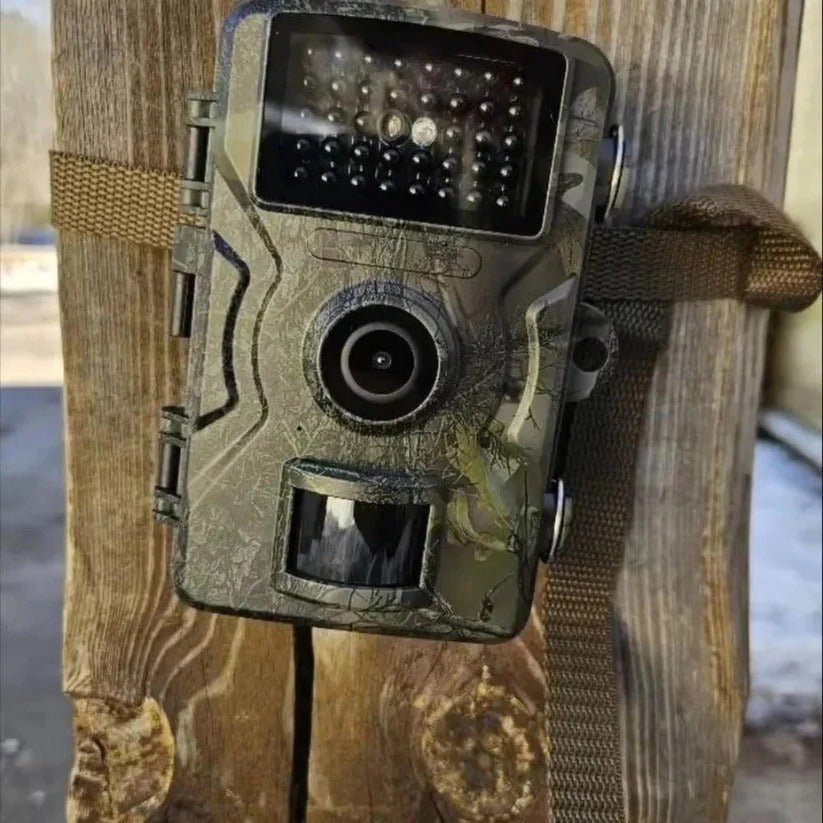 Outdoor Wildlife Camera with Infrared Night Recording - Marova Shop