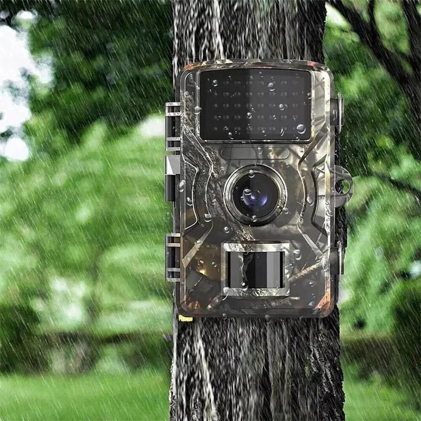 Outdoor Wildlife Camera with Infrared Night Recording - Marova Shop