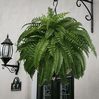 Artificial Boston Fern Set with Polyethylene and Water Resistant Construction, 18 Pack