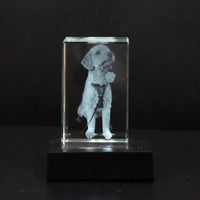 Personalized Crystal Photo Keepsake for Pet Memory