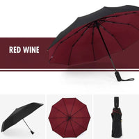 Windproof Storm Umbrella for All Weather Conditions