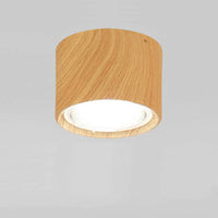 LED Ceiling Spotlight Cylinder, Adjustable Modern Indoor Light