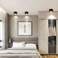 LED Ceiling Spotlight Cylinder, Adjustable Modern Indoor Light