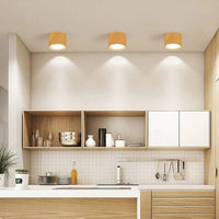LED Ceiling Spotlight Cylinder, Adjustable Modern Indoor Light