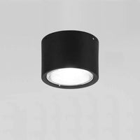 LED Ceiling Spotlight Cylinder, Adjustable Modern Indoor Light