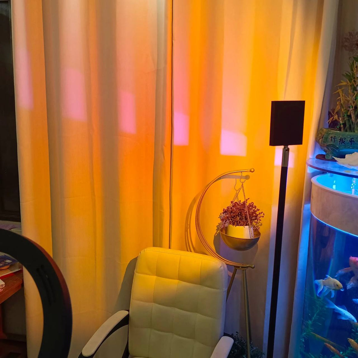 LED Color Projector Floor Lamp, Minimalist Halo Light Effect