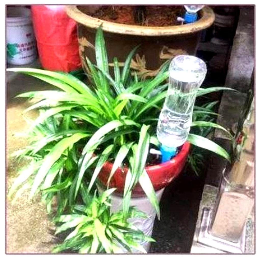 Plant Watering Spikes with Adjustable Flow Control and Bottle Adapter, 12-Pack