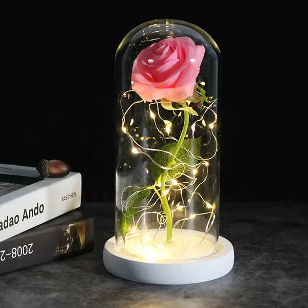 Preserved Real Rose with LED Dome Display and Battery Base