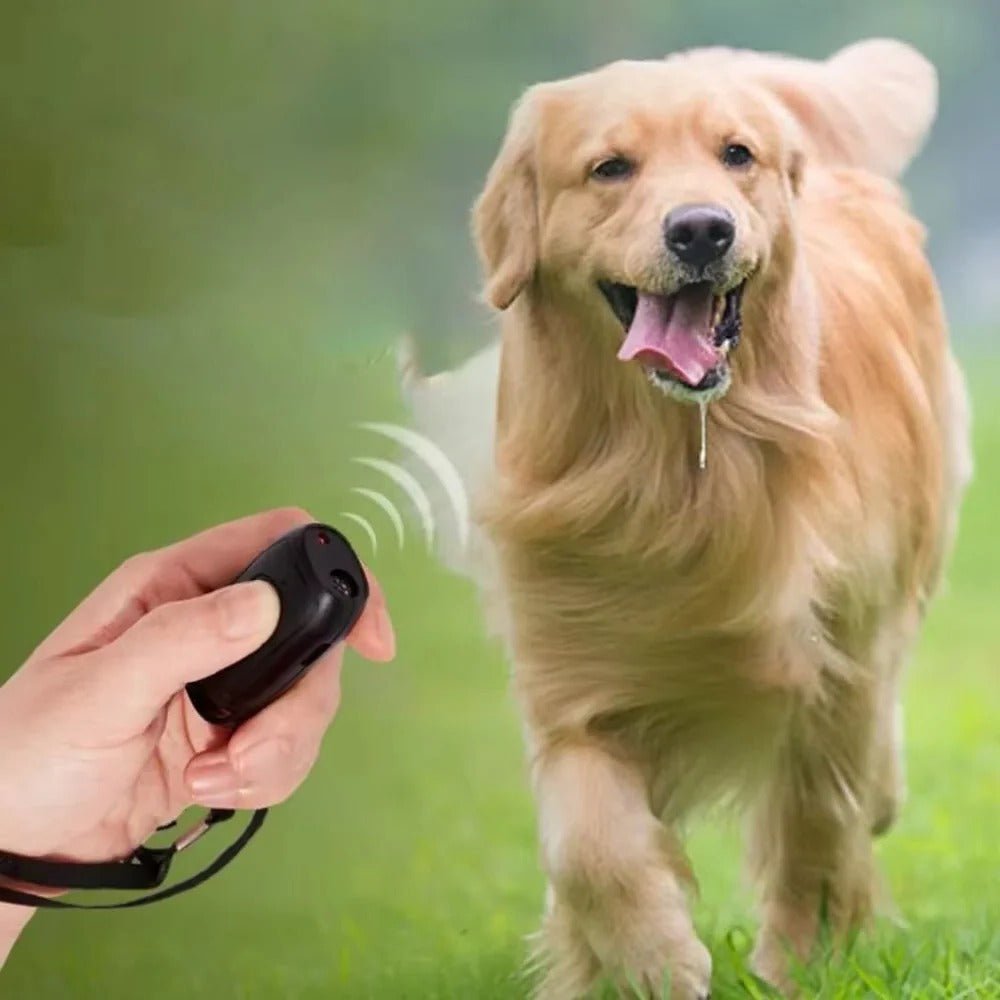 Pocket-Size Ultrasonic Dog Trainer with LED Light - Marova Shop