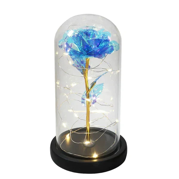 Preserved Real Rose with LED Dome Display and Battery Base