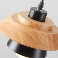 Nordic Wooden Pendant Light, Modern Hanging Lamp for Indoor Spaces