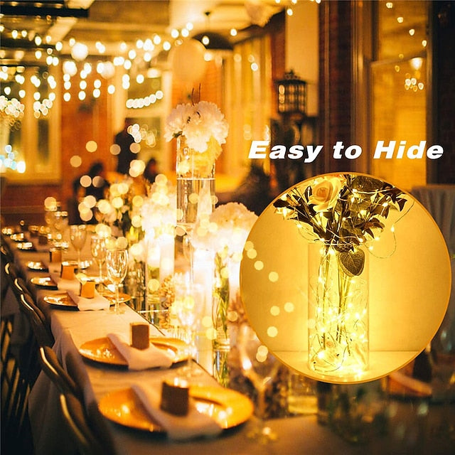 Firefly String Lights, 7Ft 20 LED Battery Operated with Flexible Silver Wire for Mason Jars and Wedding Decor