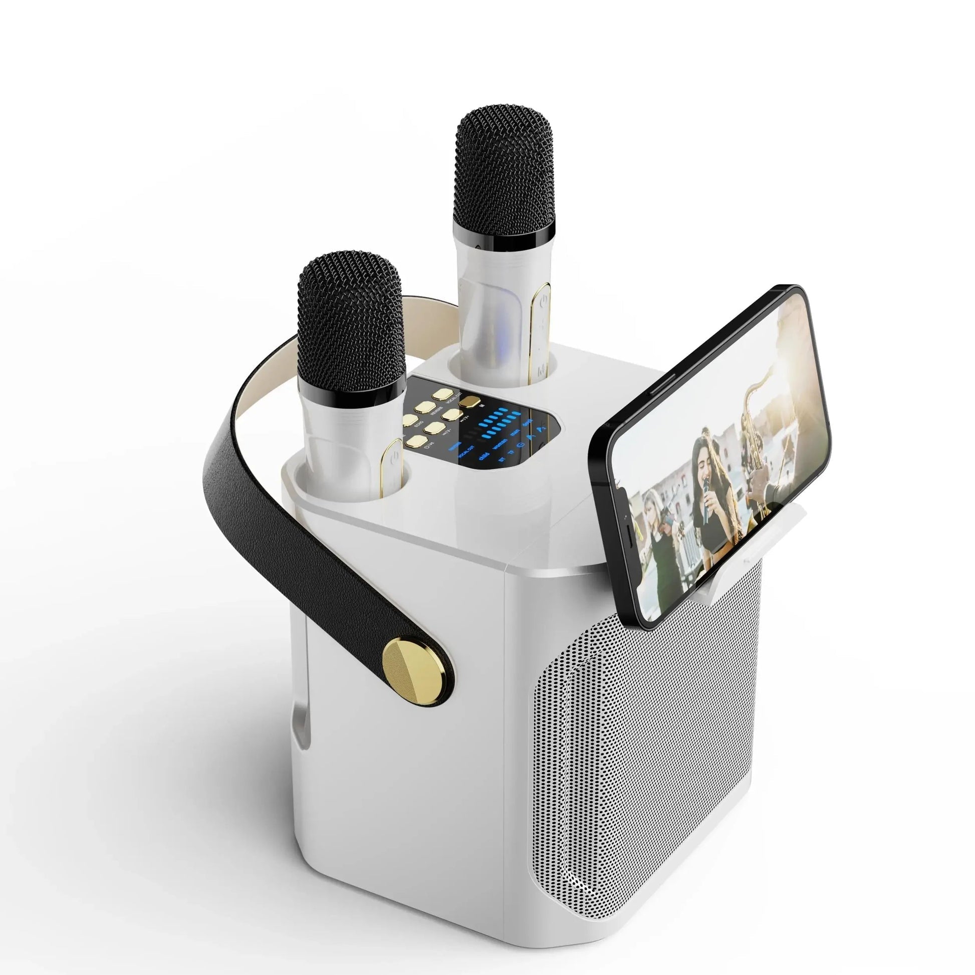 Portable Bluetooth Karaoke Speaker with 360 Sound and Dual Mic Inputs