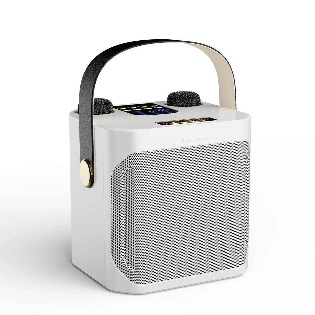 Portable Bluetooth Karaoke Speaker with 360 Sound and Dual Mic Inputs