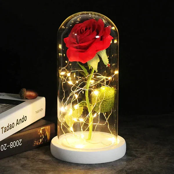 Preserved Real Rose with LED Dome Display and Battery Base