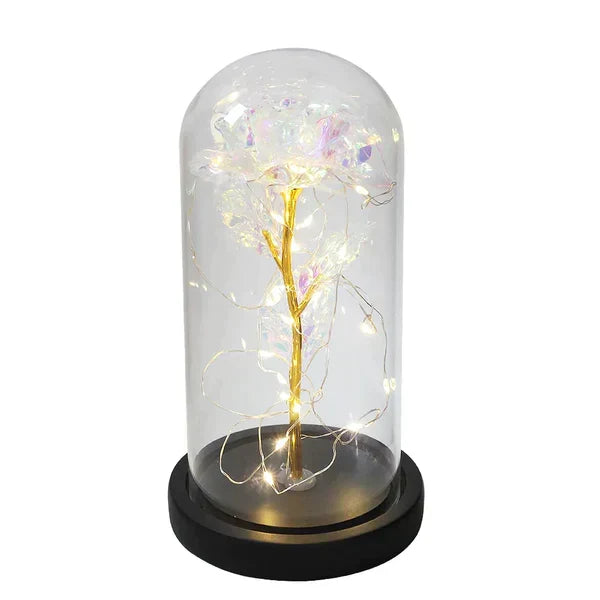 Preserved Real Rose with LED Dome Display and Battery Base