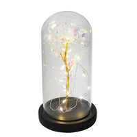 Preserved Real Rose with LED Dome Display and Battery Base