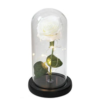 Preserved Real Rose with LED Dome Display and Battery Base